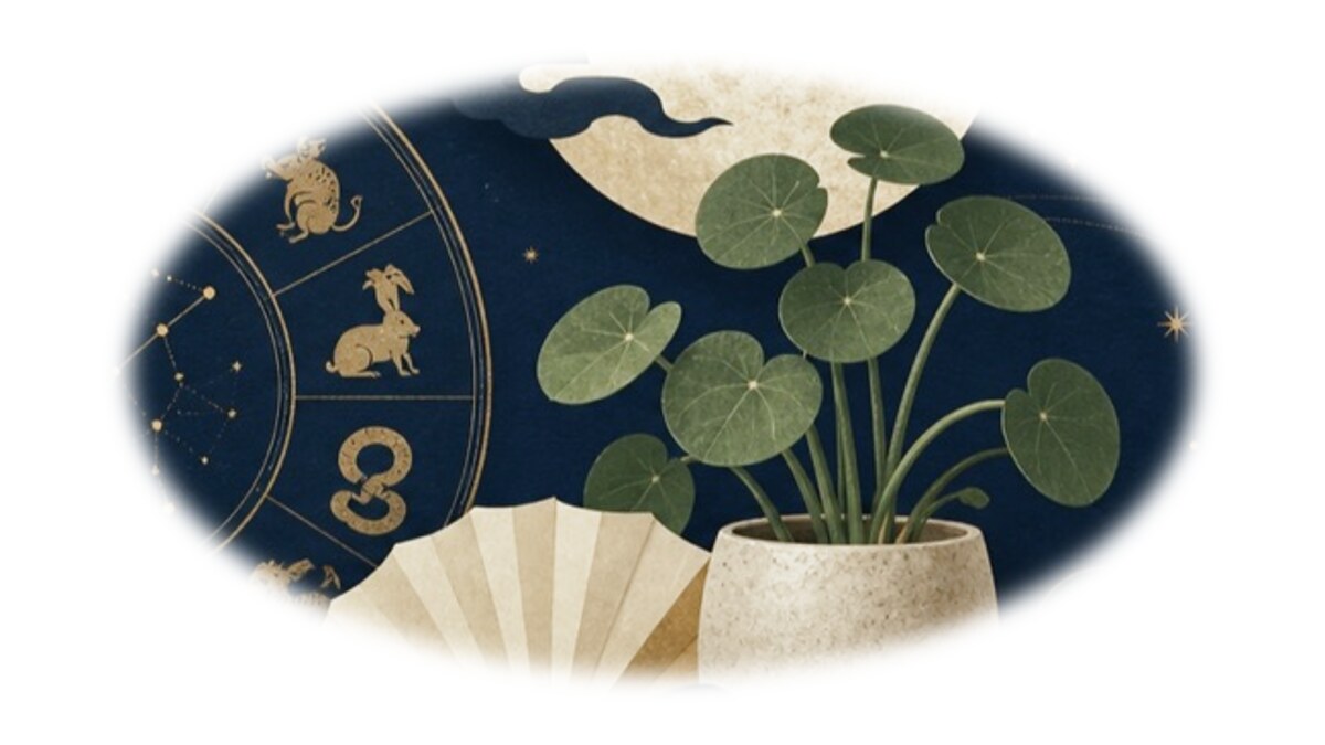 墨藍金色清潔除濕插畫，對應浴室水垢怎麼清？玻璃、磁磚、水龍頭與霉斑分開處理